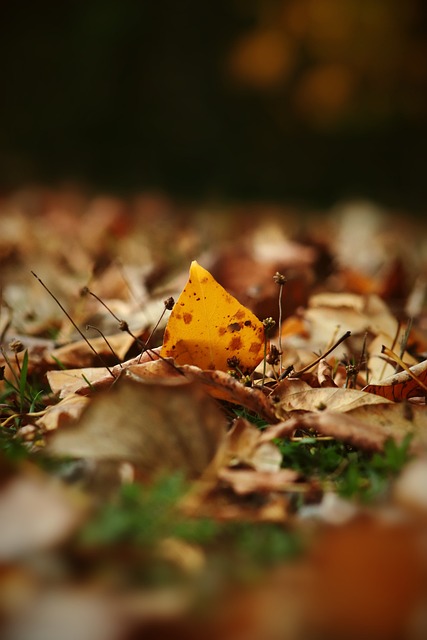 特别是詹姆 特别是詹姆