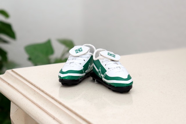 S卢顿之战 S卢顿之战