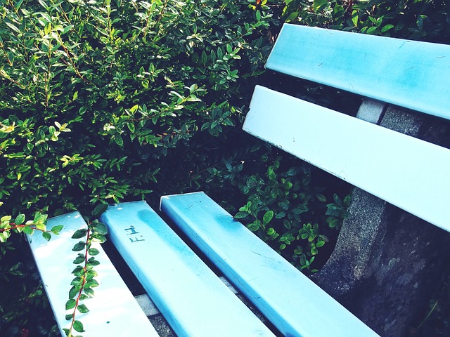 图赫尔一直 图赫尔一直