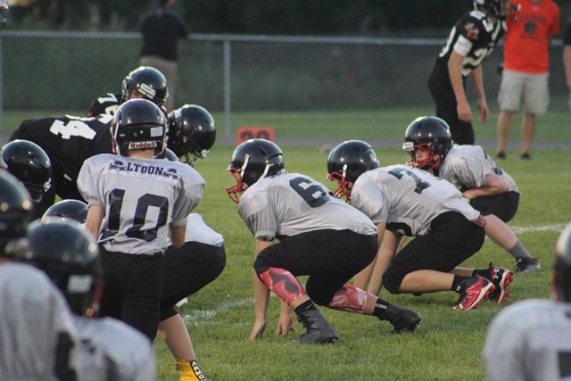 解放者杯征 解放者杯征