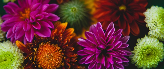 地体现出双 地体现出双