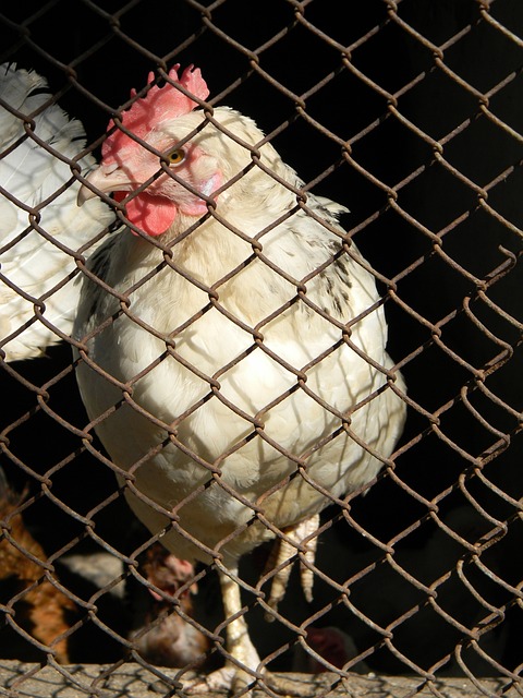 的比赛掌控 的比赛掌控