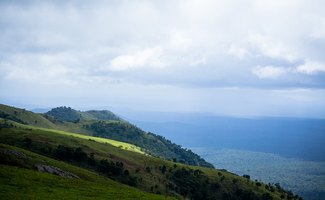 全力以赴 全力以赴