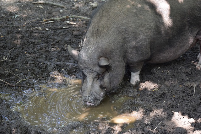 代表中国足